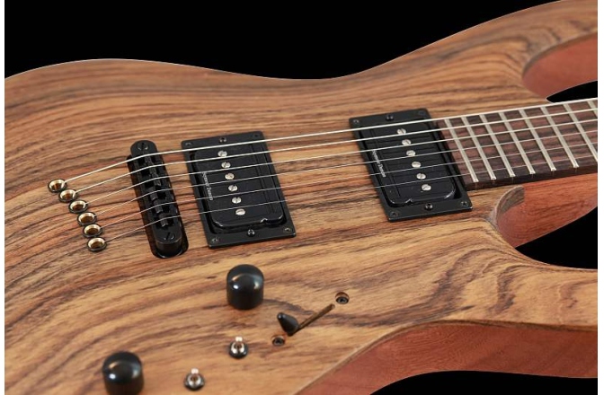 Chitara electrica Mayones Setius GTM Lizard