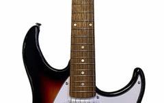 Chitară Electrică Peavey Raptor Plus SNB SSS