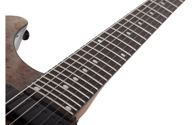 Chitară electrică Schecter C-1 Standard (BFBB)