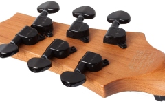 Chitară electrică Schecter C-1 Standard (BFBB)