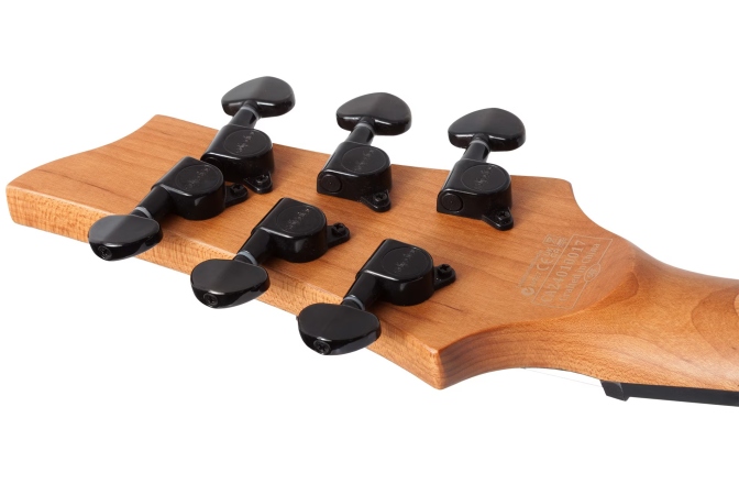 Chitară electrică Schecter C-1 Standard (BFBB)