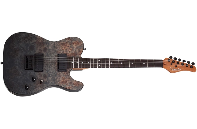 Chitară electrică Schecter PT Standard (BFBB) 