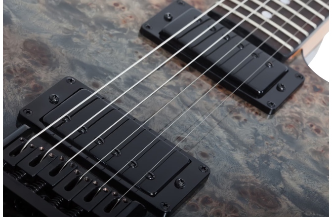 Chitară electrică Schecter PT Standard (BFBB) 