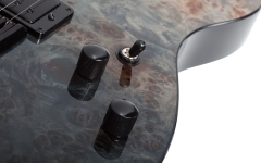 Chitară electrică Schecter PT Standard (BFBB) 