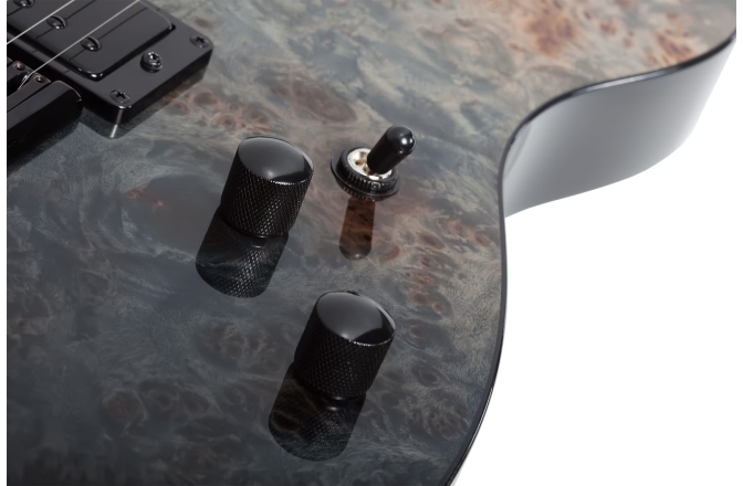 Chitară electrică Schecter PT Standard (BFBB) 