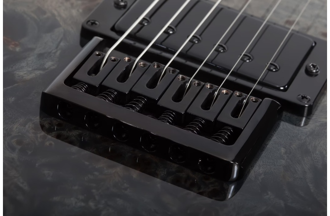 Chitară electrică Schecter PT Standard (BFBB) 