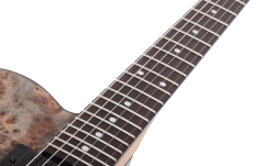 Chitară electrică Schecter PT Standard (BFBB) 