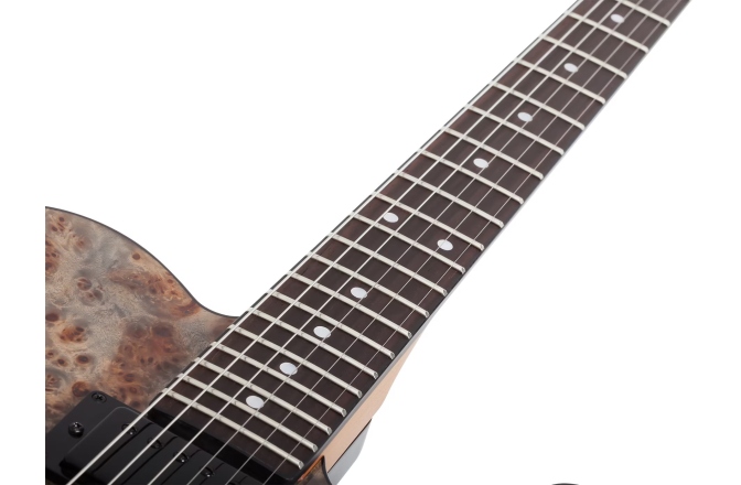 Chitară electrică Schecter PT Standard (BFBB) 