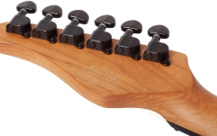 Chitară electrică Schecter PT Standard (BFBB) 