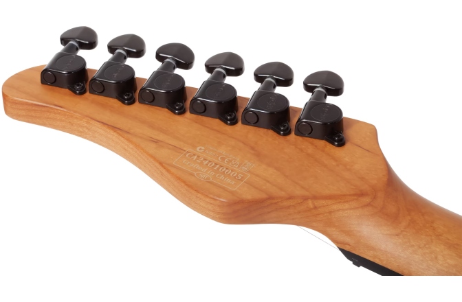 Chitară electrică Schecter PT Standard (BFBB) 