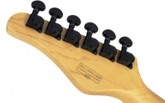 Chitară electrică Schecter PT Standard BK