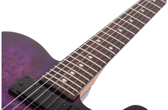 Chitară electrică Schecter PT Standard (PBB)