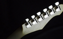 Chitară electrică  Shergold Telstar Standard ST14 Champagne Gold Left Handed