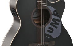 Chitara electro-acustica  Applause  AEO-69-5S