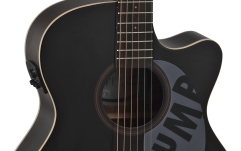 Chitara electro-acustica  Applause  AEO-69-5S