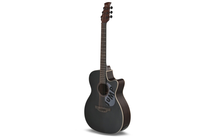 Chitara electro-acustica  Applause  AEO-69-5S