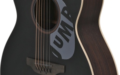 Chitara electro-acustica  Applause  AEO-69-5S
