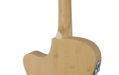 Chitara electro-acustica Applause AEO-69-6P