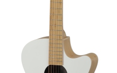 Chitara electro-acustica Applause AEO-69-6P