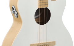 Chitara electro-acustica Applause AEO-69-6P