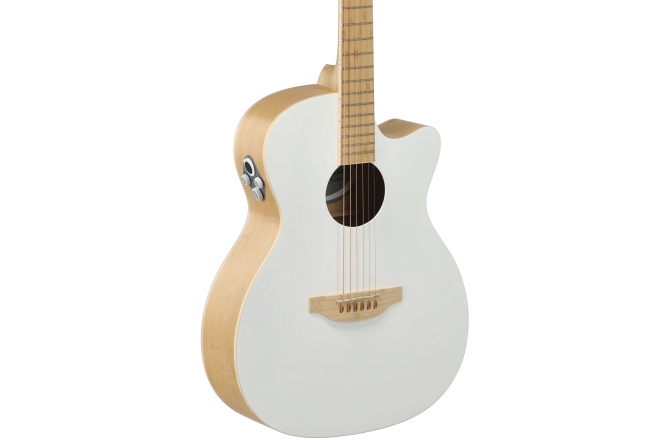 Chitara electro-acustica Applause AEO-69-6P