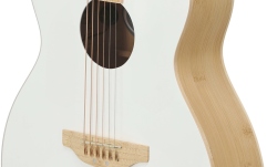 Chitara electro-acustica Applause AEO-69-6P