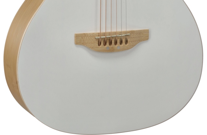 Chitara electro-acustica Applause AEO-69-6P