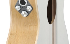 Chitara electro-acustica Applause AEO-69-6P