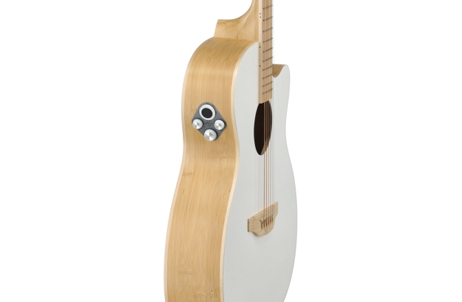Chitara electro-acustica Applause AEO-69-6P