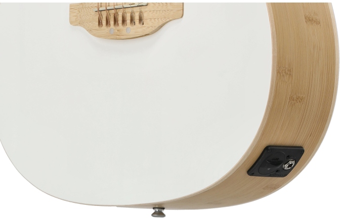 Chitara electro-acustica Applause AEO-69-6P