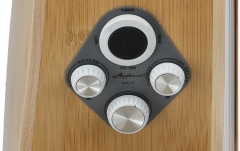 Chitara electro-acustica Applause AEO-69-6P