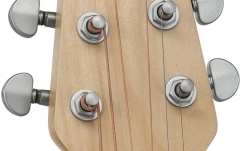 Chitara electro-acustica Applause AEO-69-6P