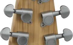Chitara electro-acustica Applause AEO-69-6P