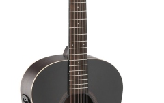 Chitara electro-acustica  Applause AES12-69-5S