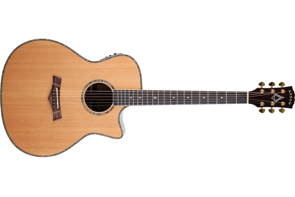 Platinium A CE SIT/RW Sitka/Rosewood