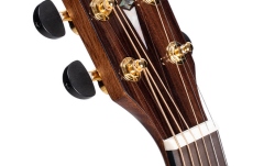 Chitară electro-acustică Cort GAPF-BV Grand Auditorium