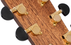 Chitară electro-acustică Cort GAPF-BV Grand Auditorium