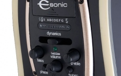 Chitara electro-acustică Epiphone Performer PR-5E Florentine Cutaway