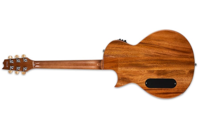 Chitară electro-acustică LTD TL-6 AQMB