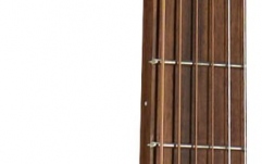 Chitară Electro-Acustică Martin Guitars 00-X2E-01 Cocobolo