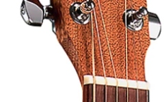 Chitară  electro-acustică  Martin Guitars GPC-10E