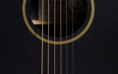 Chitară Electro-Acustică Martin Guitars GPC-X1E