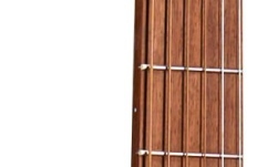 Chitară Electro-Acustică Martin Guitars GPC-X2E Cocobolo