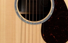 Chitară Electro-Acustică Martin Guitars GPC-X2E Cocobolo Sit/Coco HPL w/Gig Bag