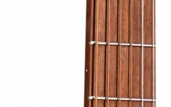 Chitară Electro-Acustică Martin Guitars GPC-X2E Cocobolo Sit/Coco HPL w/Gig Bag