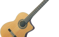 Chitara electro-acustica Washburn C104SCE B-Stock