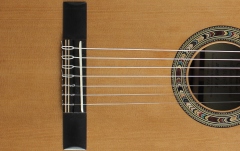 Chitară electro-clasică 7 corzi Kremona Performer F65CW-7S Solid Cedar/Solid Rosewood Back