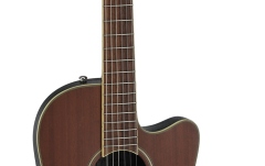 chitara electro-clasica Applause AB24CII  Mid Cutaway Nylon Natural Satin