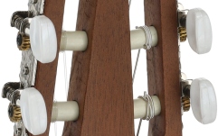 chitara electro-clasica Applause AB24CII  Mid Cutaway Nylon Natural Satin