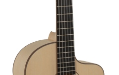 chitara electro-clasica Gewa Pro Natura Silver Samba Electro-clasica